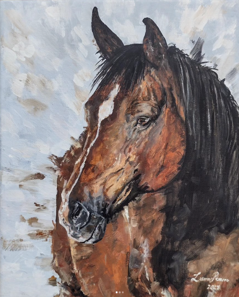 Bay Horse Portrait