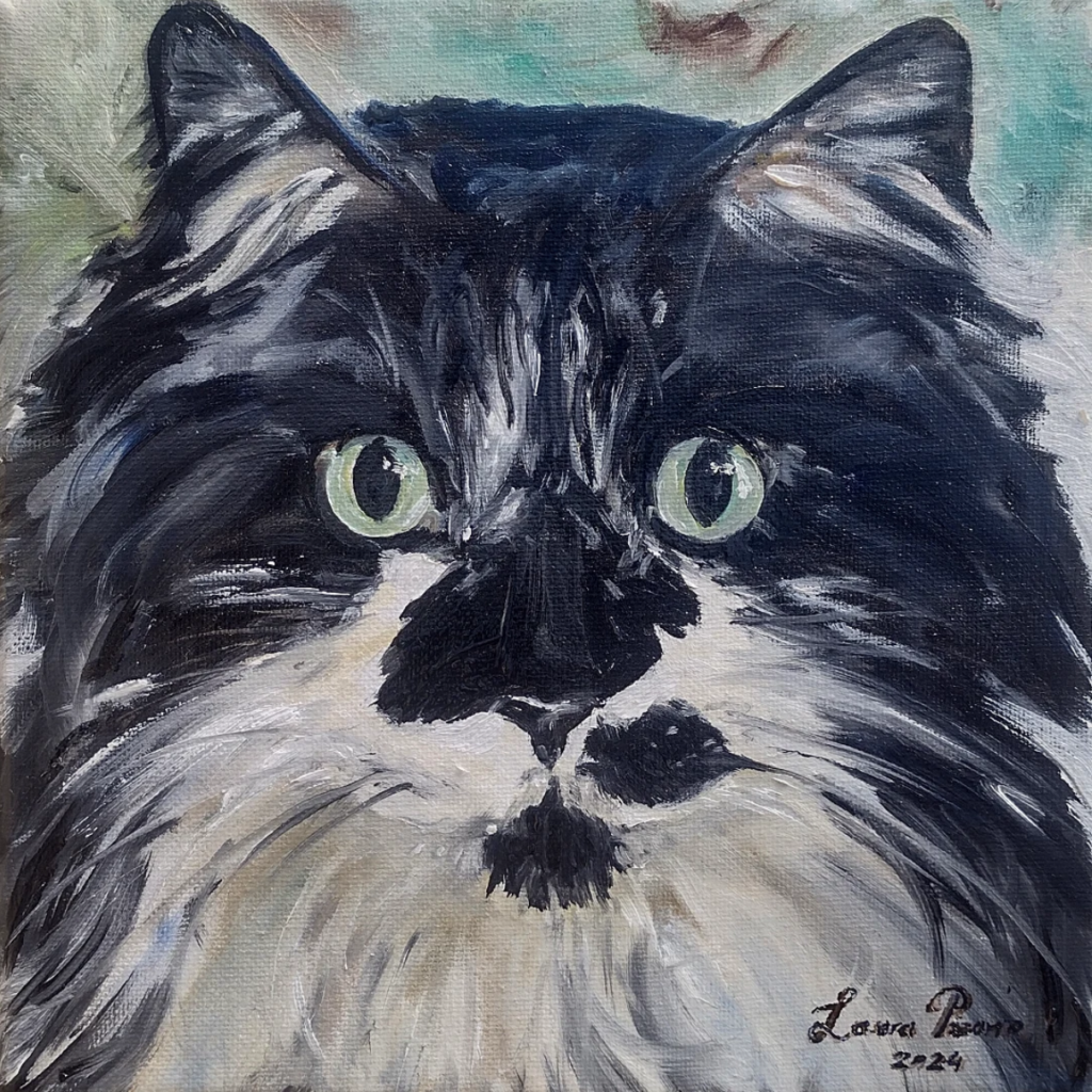 Black and White Cat
