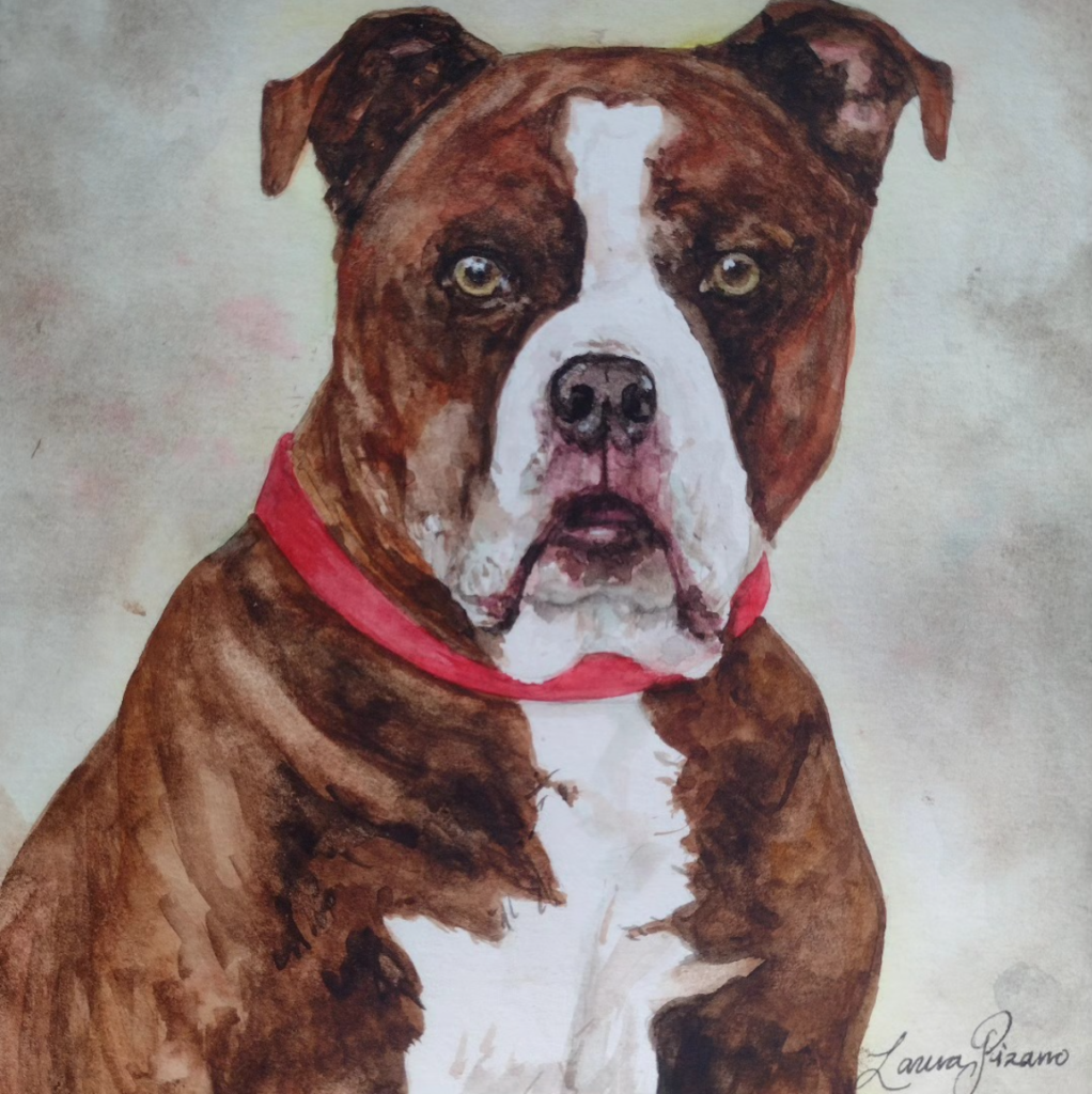 Boxer with Red Collar