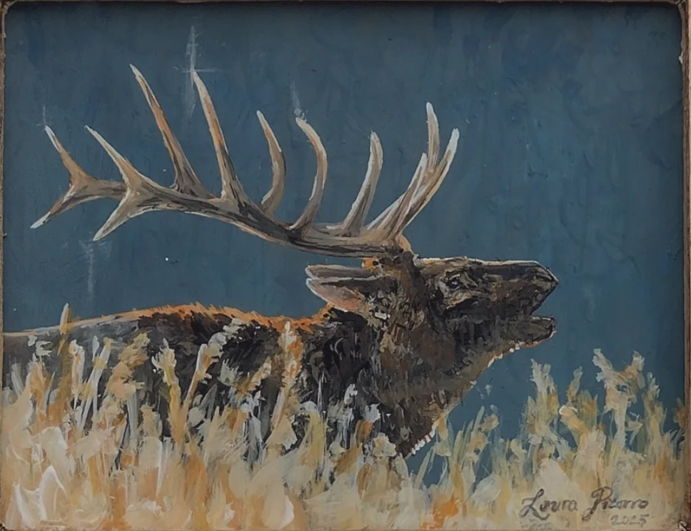 Bugling Elk