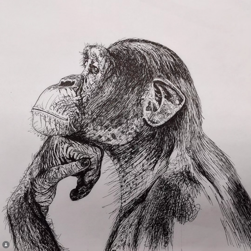 Chimpanzee Ink Study