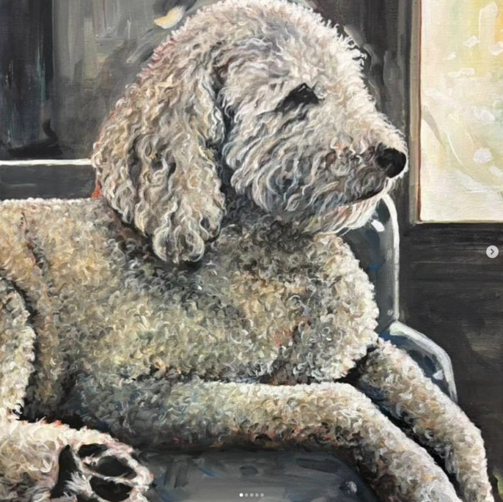 Curly Dog Portrait