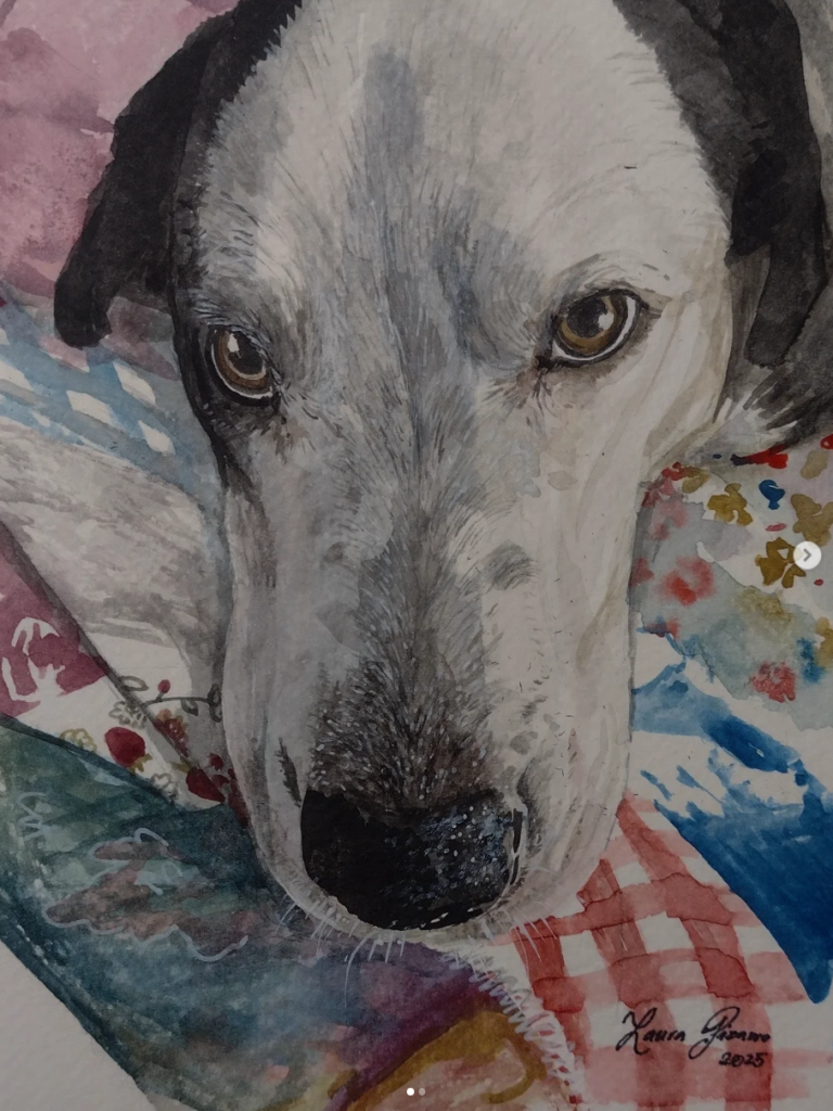 Dog on Quilt