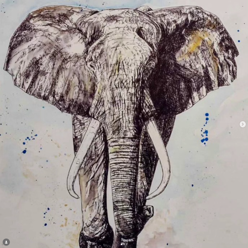 Elephant Ink Study
