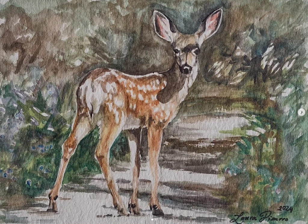 Fawn on Path