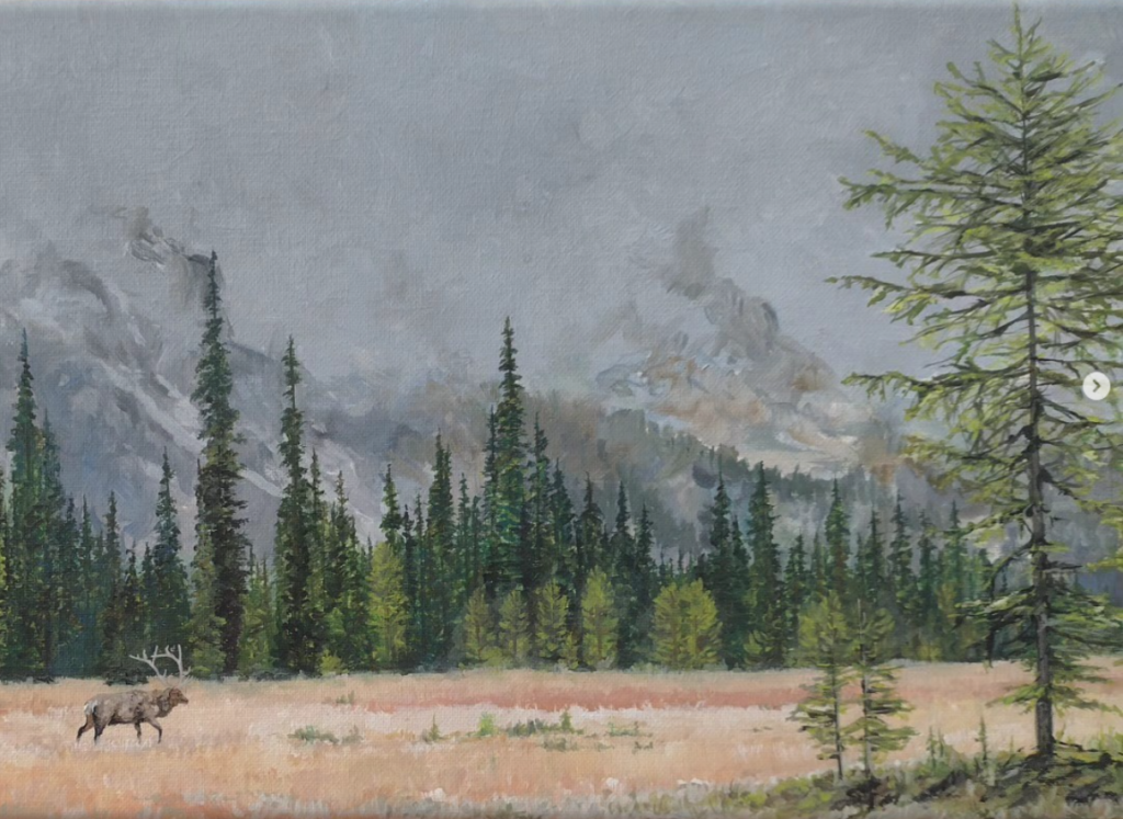 Fog and Golden Grass