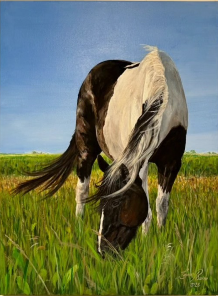 Grazing Paint Horse