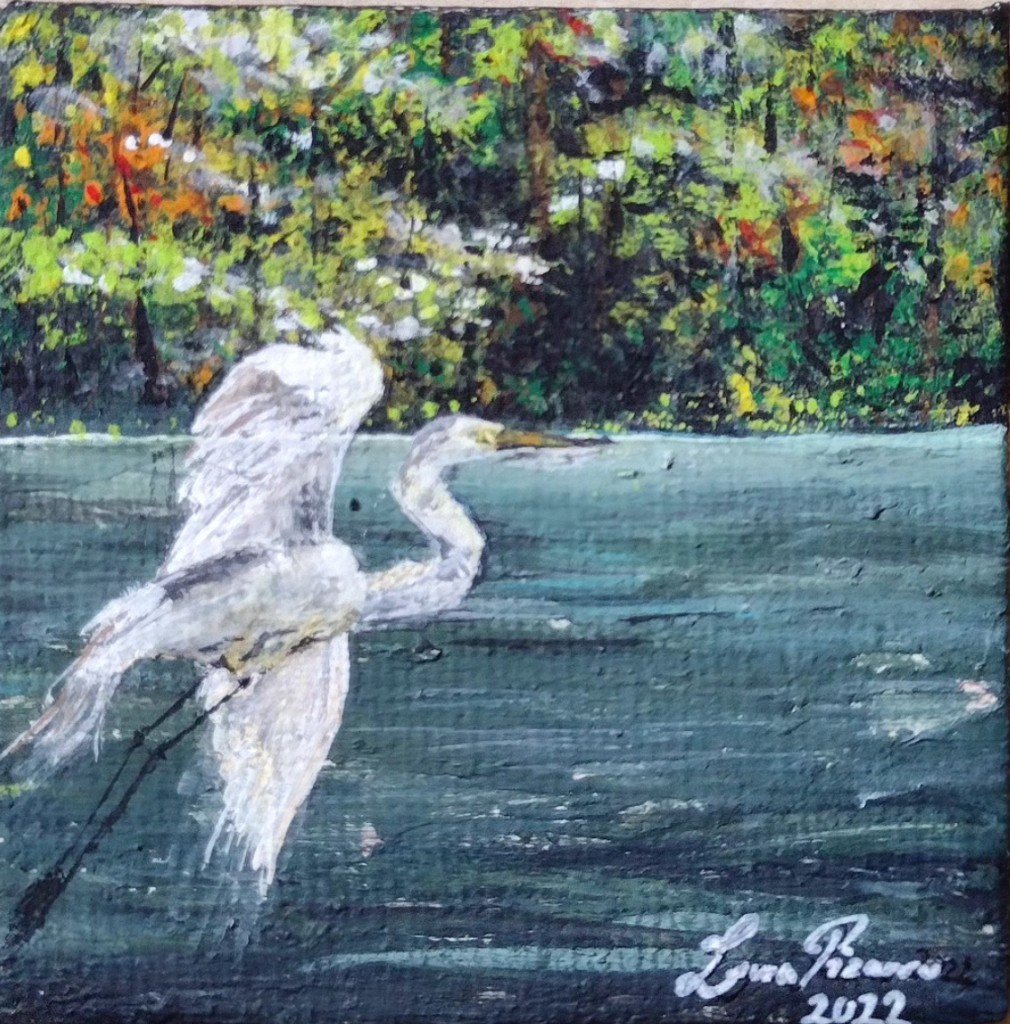 Heron Over Water