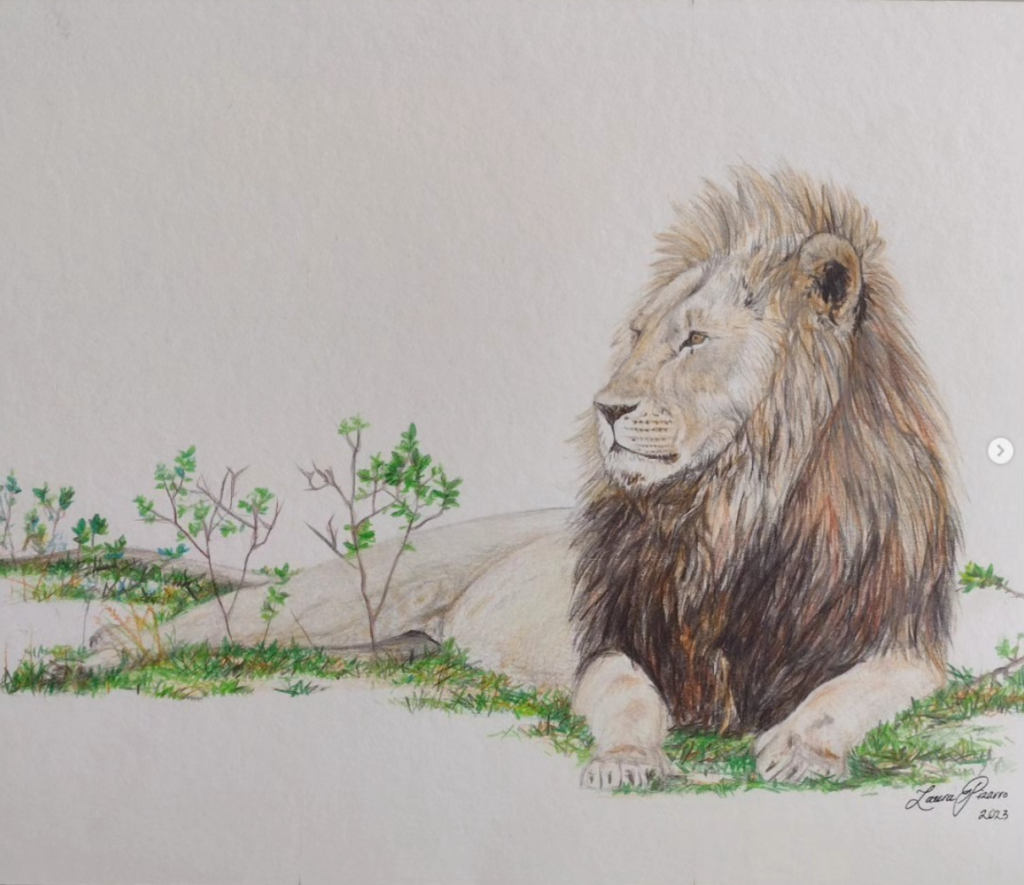 Lion Study