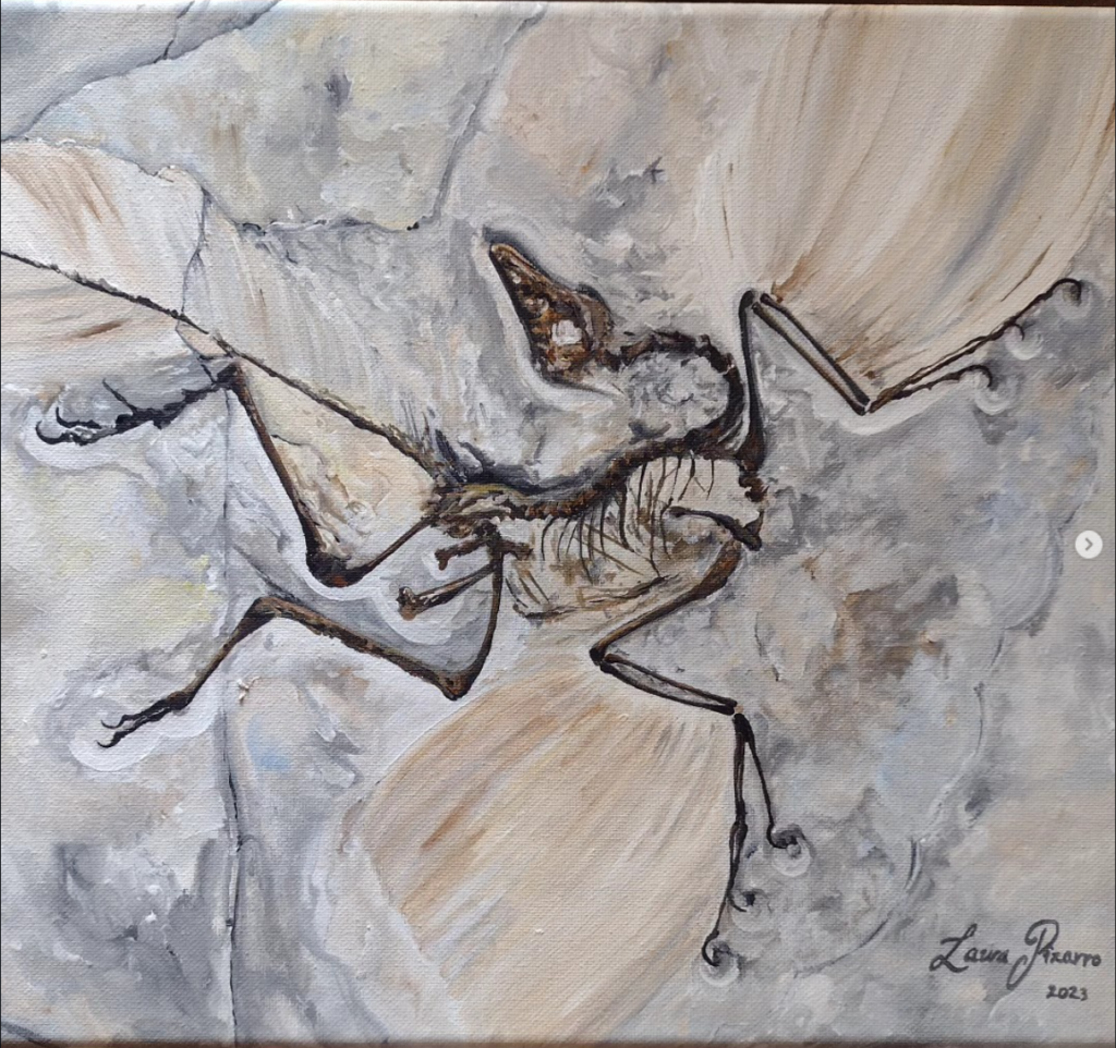 Moth Study