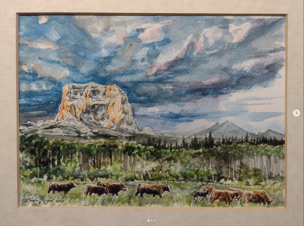 Mountain Cattle