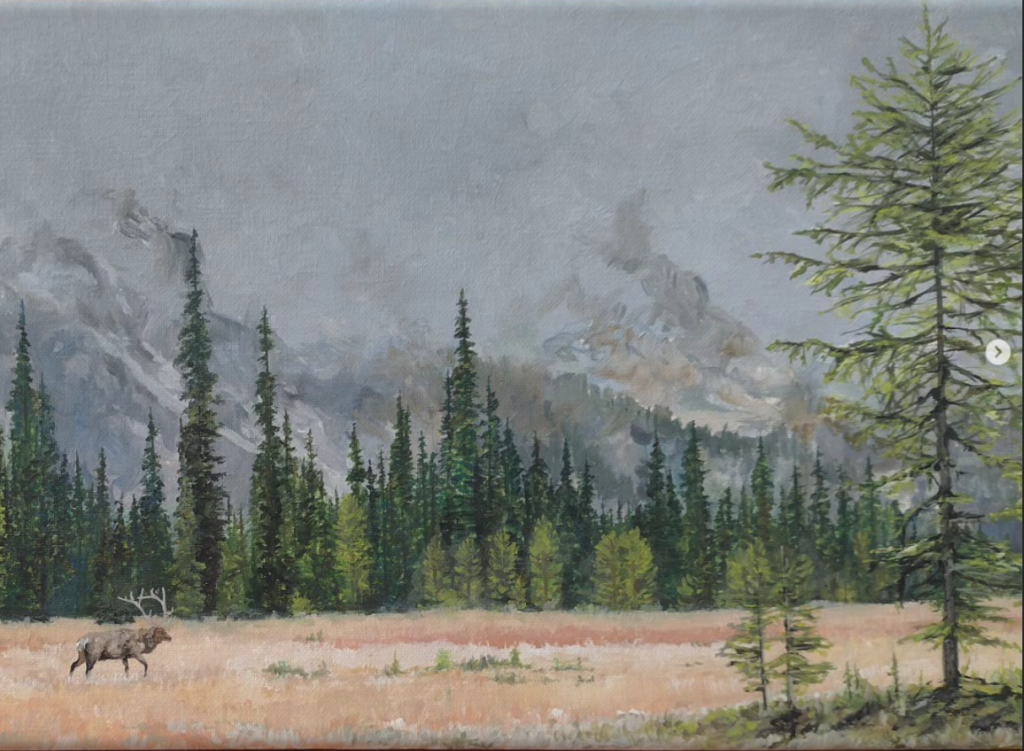 Mountain Elk Meadow