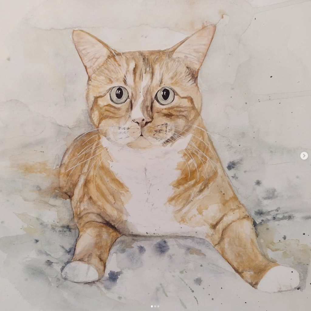 Orange Tabby