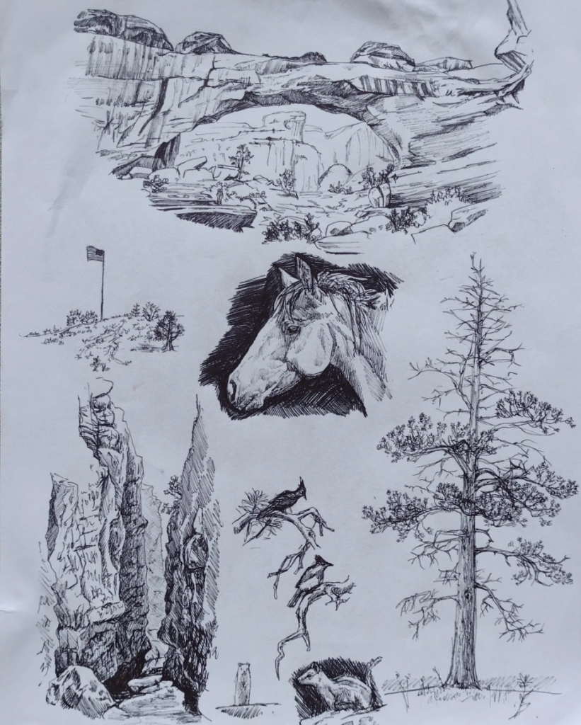 Pencil Sketches
