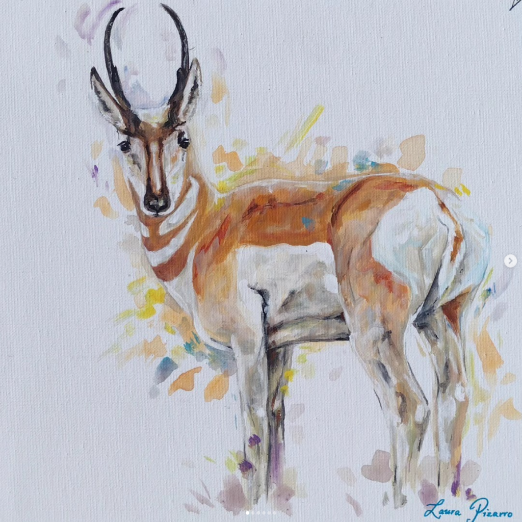 Pronghorn Study