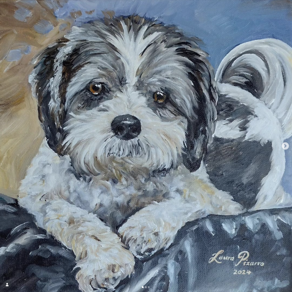 Shih Tzu on Couch