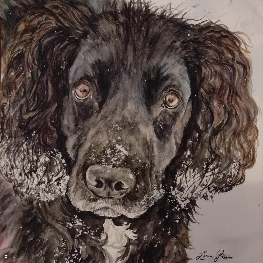 Snowy Spaniel