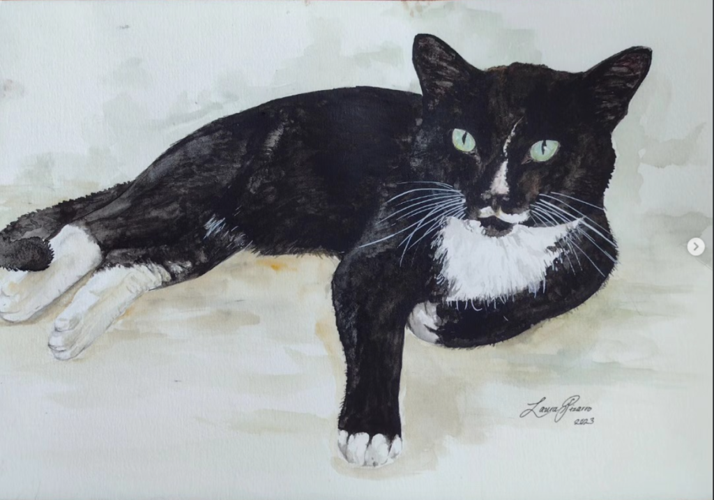 Tuxedo Cat