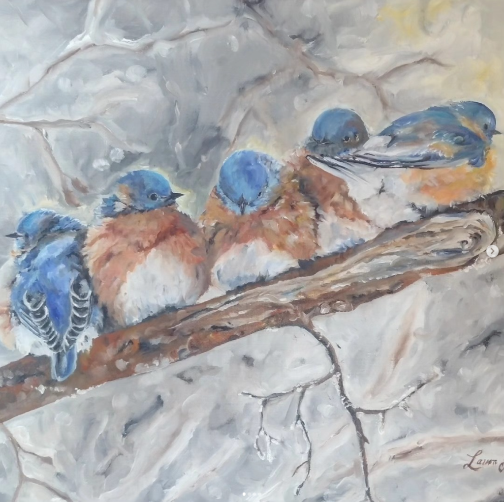 Winter Bluebirds
