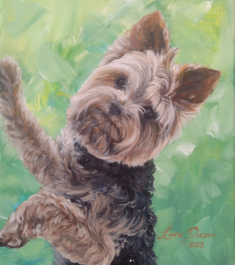 Yorkie Portrait